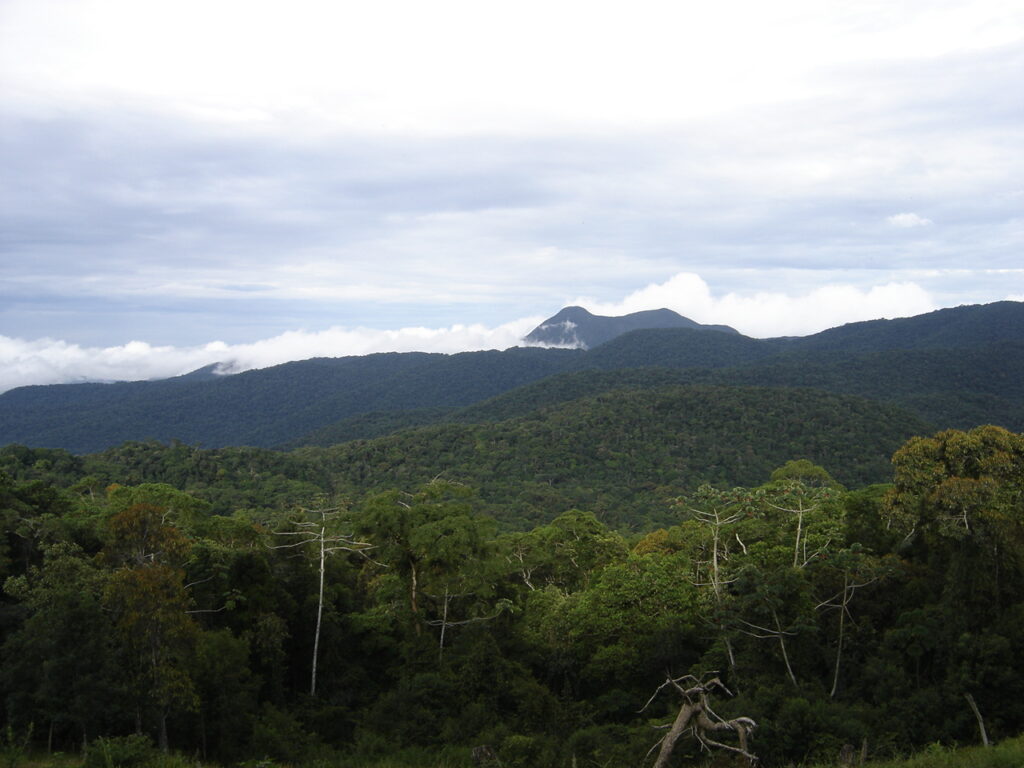 Protected area