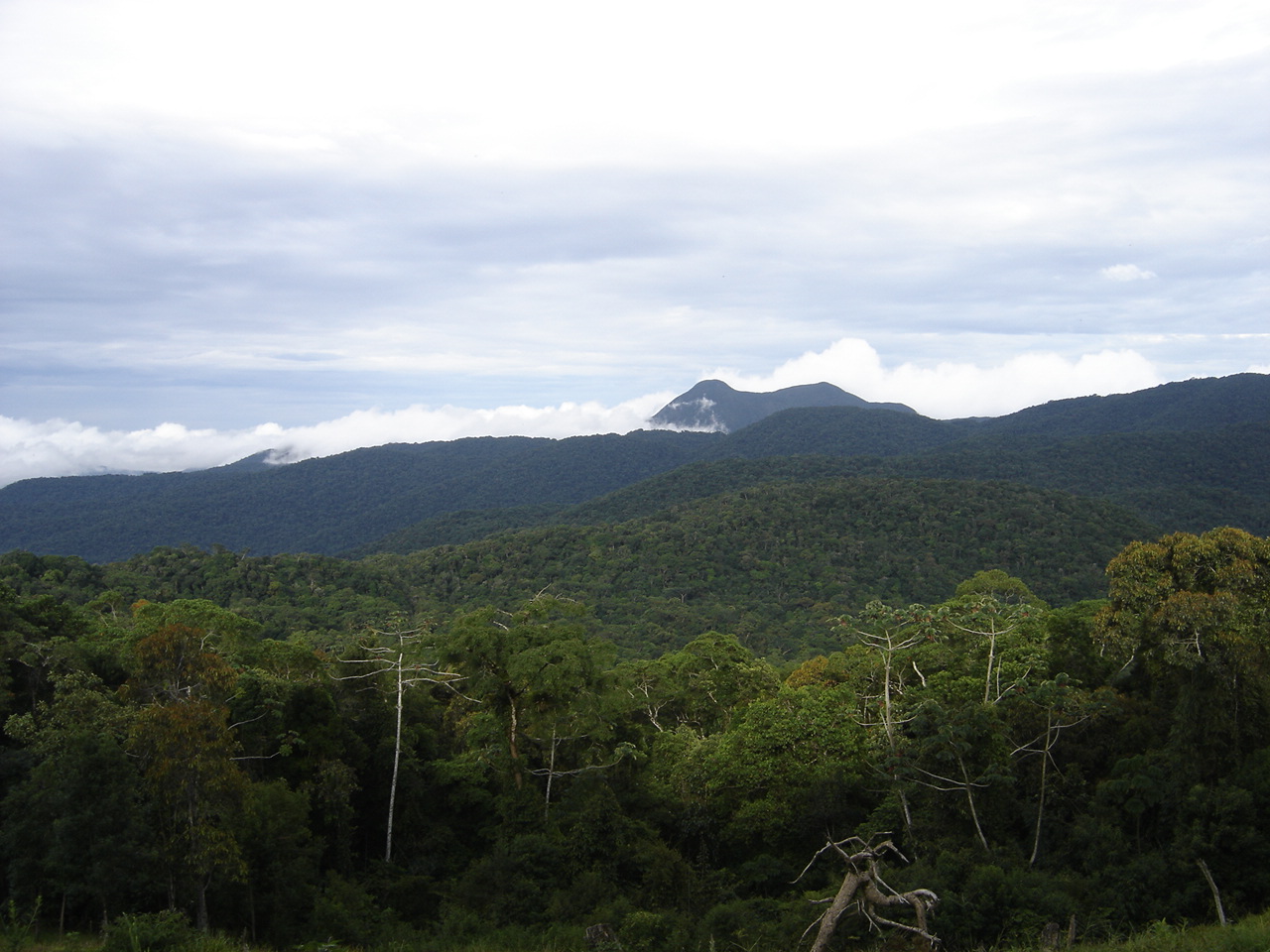 Área protegida