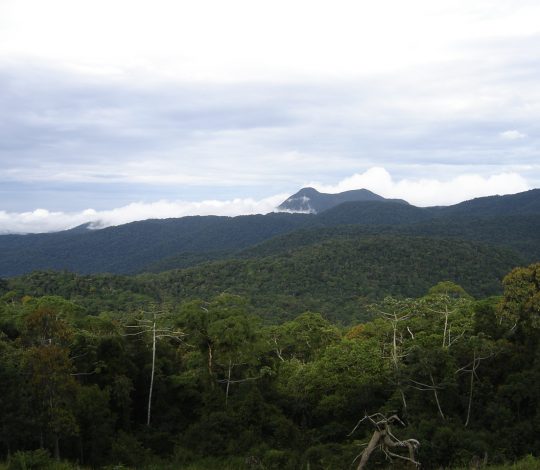 Área protegida Área protegida